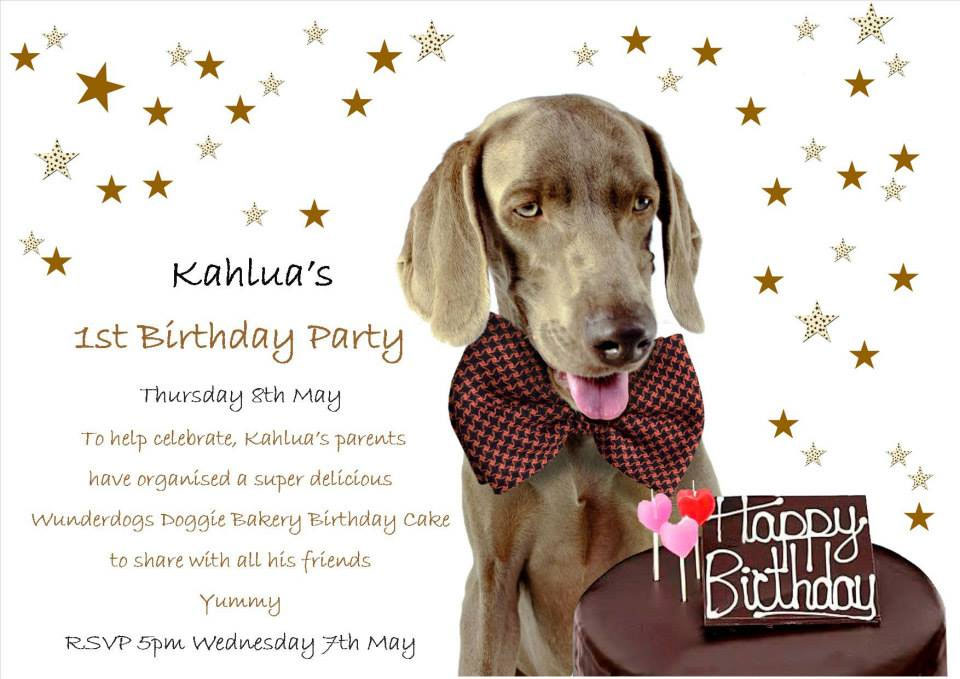 Happy sales birthday weimaraner